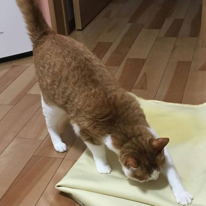 8c3dcc90 bf89 4ecd a0d2 9f9a5fdc7d09