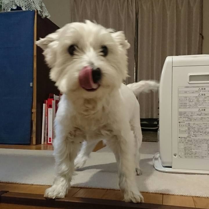 8c3dde1c dcb6 445c 98fa f407999bbe19