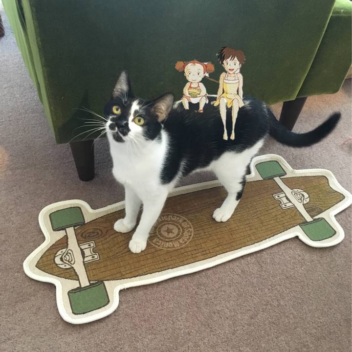 8c3e464c c69b 4db1 a59b a50b29f06266