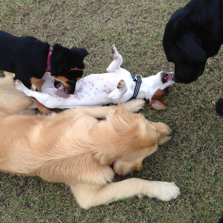 8c3e5c4b 0428 488c a9db 31f779220e0e