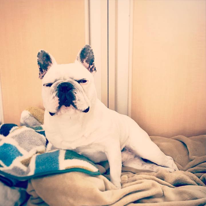 8c3e9cff ddf1 4819 9e2f c66284ab6cf1