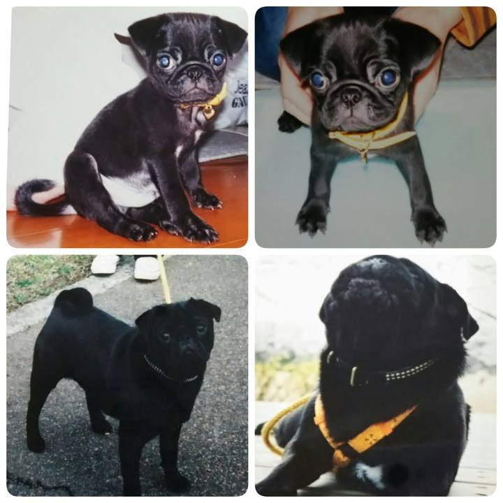 8c3efa14 cb6f 49c5 b7f1 483b1656709c