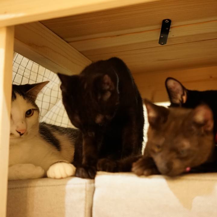 8c3fa2b4 8b60 488b bc59 dadfc510419a