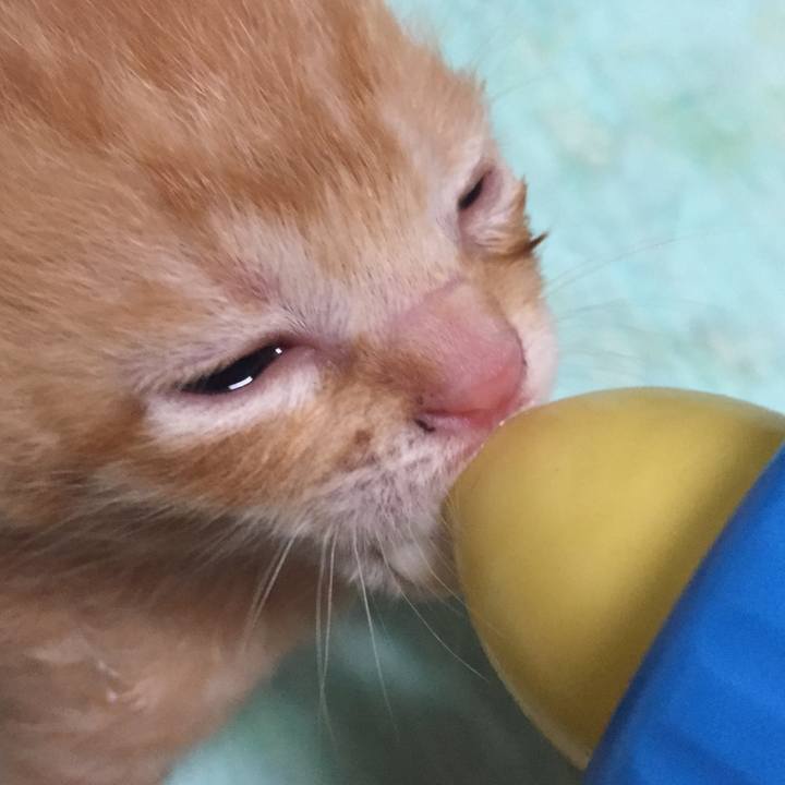 8c3fa6f5 ca9d 4bc5 9431 6243c1453bd6