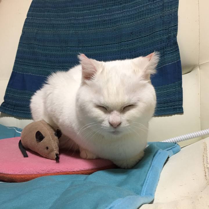 8c3fdbf9 8169 4ea1 84e5 51e40ffdfc78