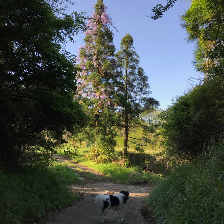 8c3ffc32 afa7 4165 a139 39f0210b8786