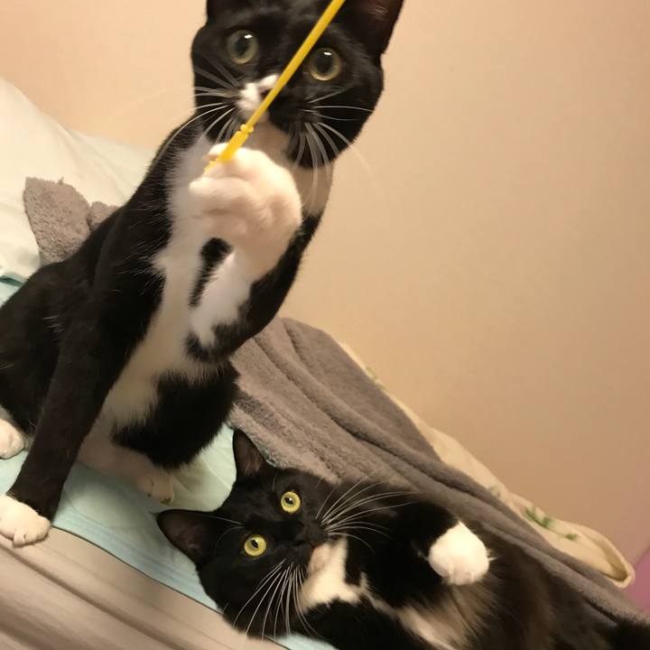 8c426a0b 6920 4abb a285 07b3399000d9