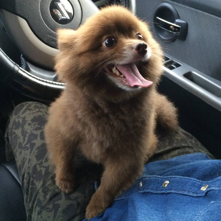 8c42a4af 2fe3 4eef 885c c5f189c7f1d9