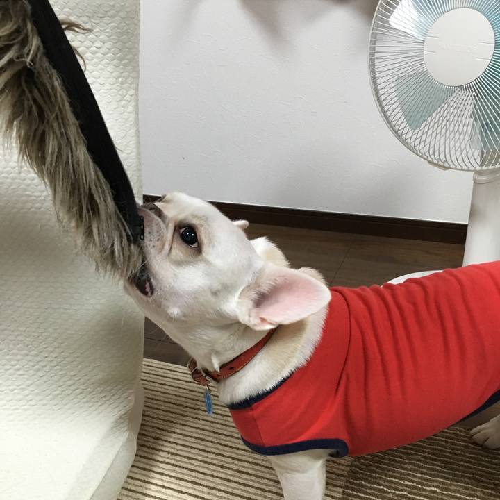 8c4301a7 f7ab 45d3 9326 cf0cb1eb5437