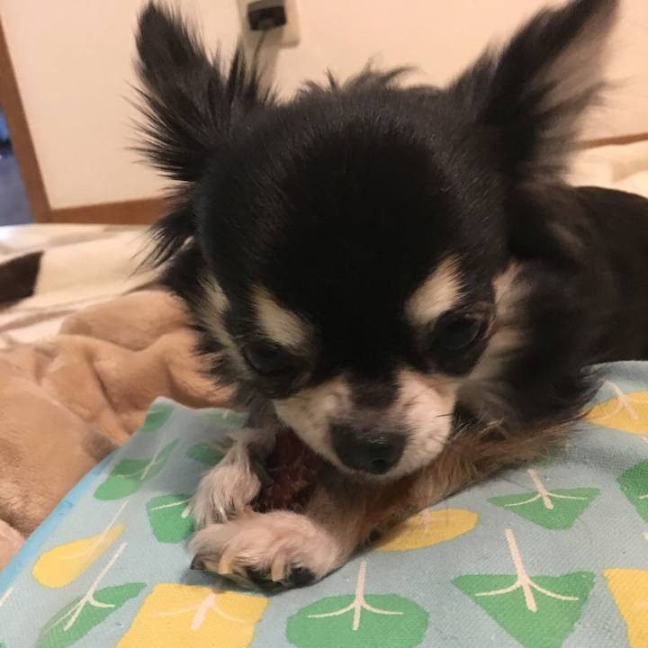 8c4367a8 50e7 426d bdc3 1e594d11575b