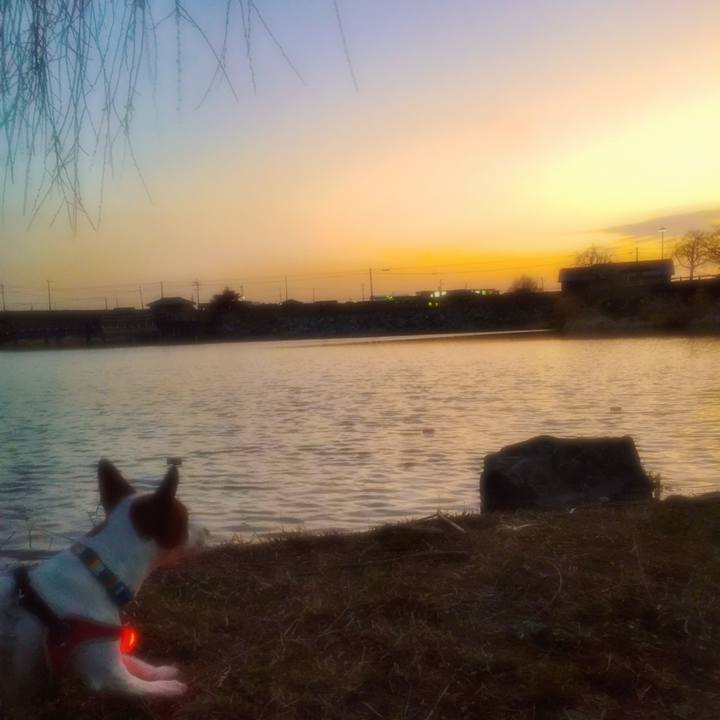 8c43f1a1 715a 4694 8164 576aac4d8a09