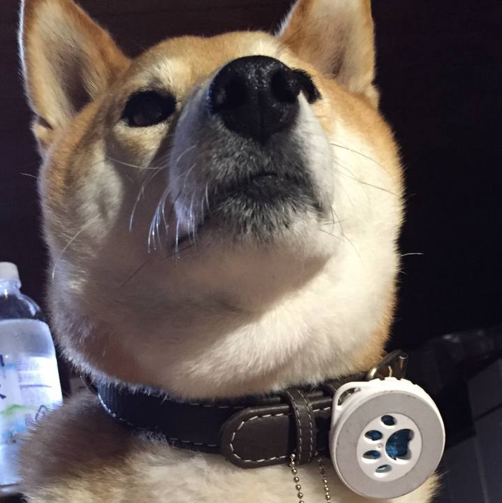 8c440f49 0149 4c08 a7ed 82818895be1c