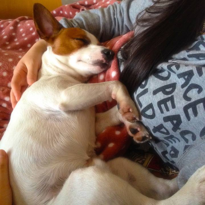 8c445173 7e4d 4d24 b3b9 b83e8c56d105