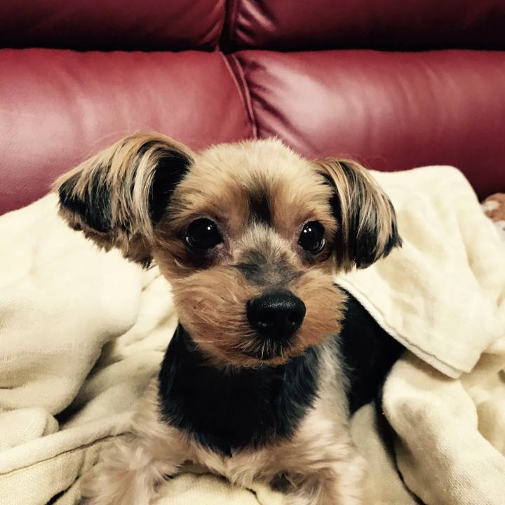 8c451b93 c685 46cf b168 f98120bc349b