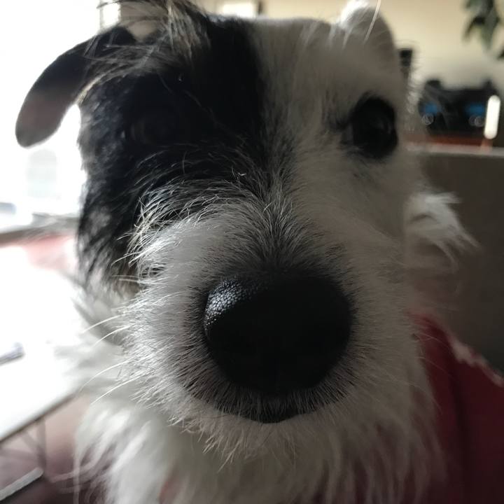 8c45f406 339d 4f47 b6d7 6591c0551bdb