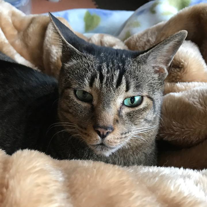 8c46449b 1df2 48ce a647 842434c44303