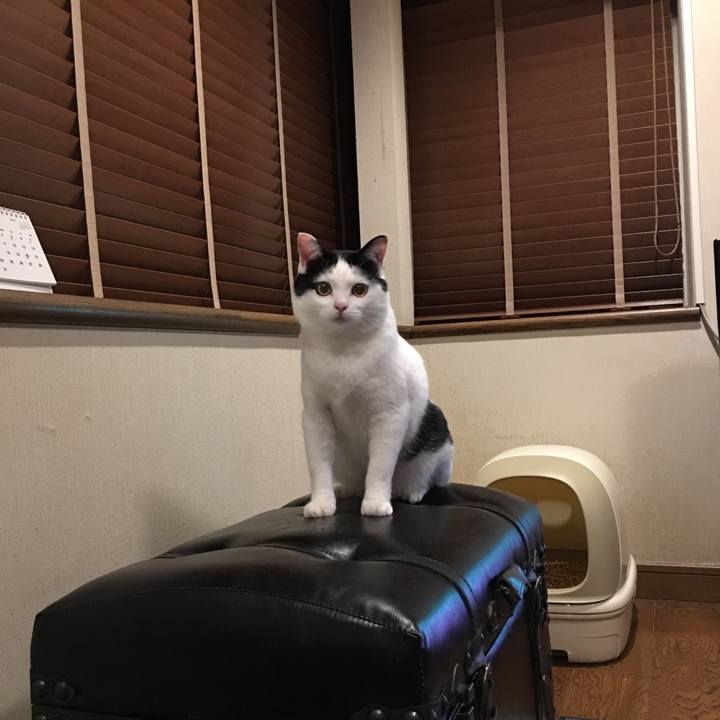 8c46787f 3278 4334 b9f3 b0890ae0dfc6