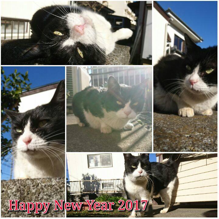 8c46869d 4609 49ef aa02 39a3bb4a25f5