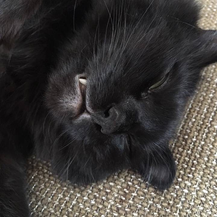 8c46eac3 4817 4a96 930b 6717cd025883