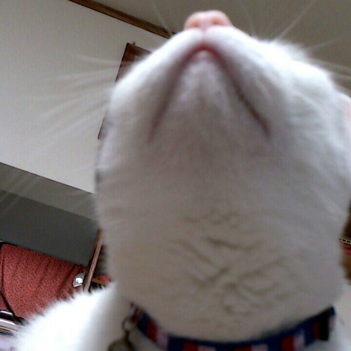 8c472d97 b72a 4da7 ac06 03886a383575