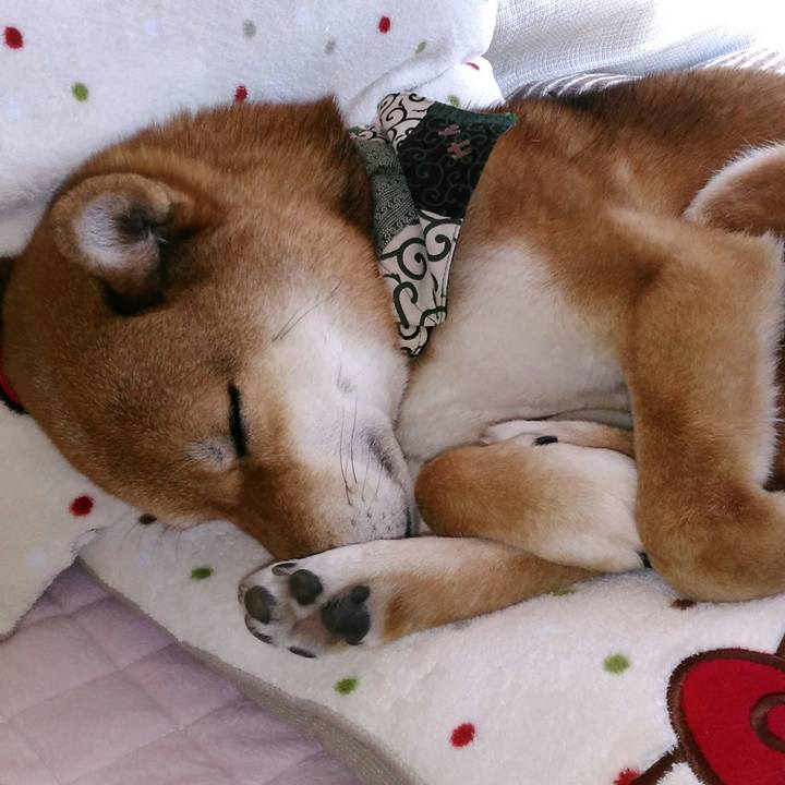 8c478dc3 6a27 4e0d 93eb 5b4b2b67e8c4