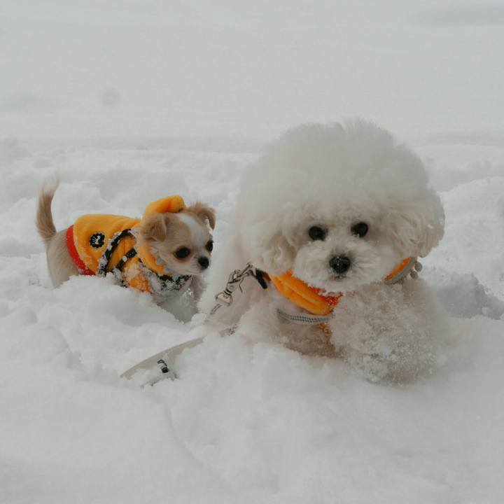 8c47c1b4 95b0 4bca 9b3f 69c13f57b6dc