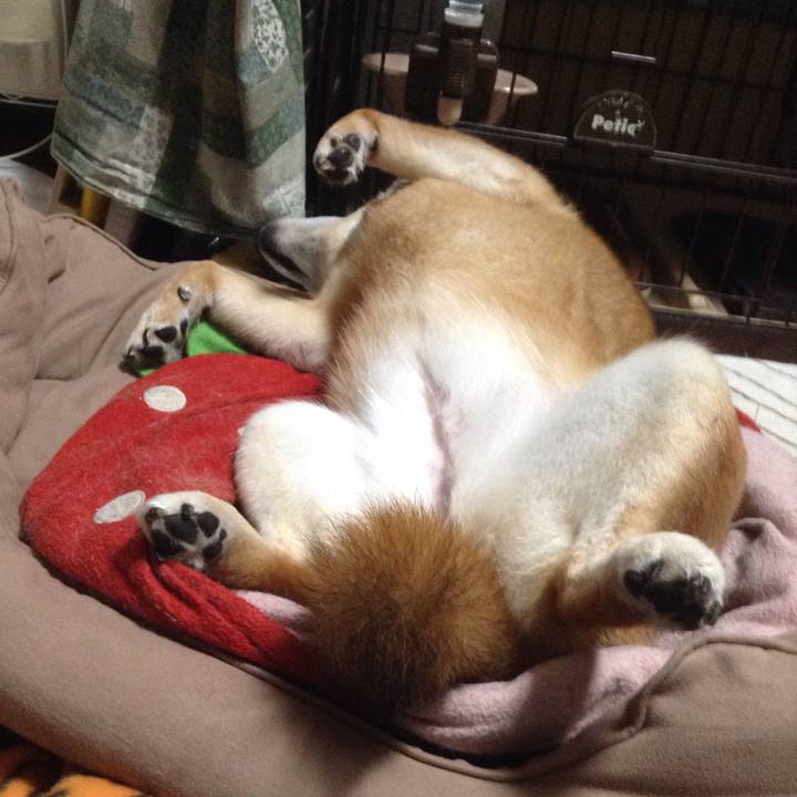 8c48243e 4b85 47d5 be31 28404eb6b3df