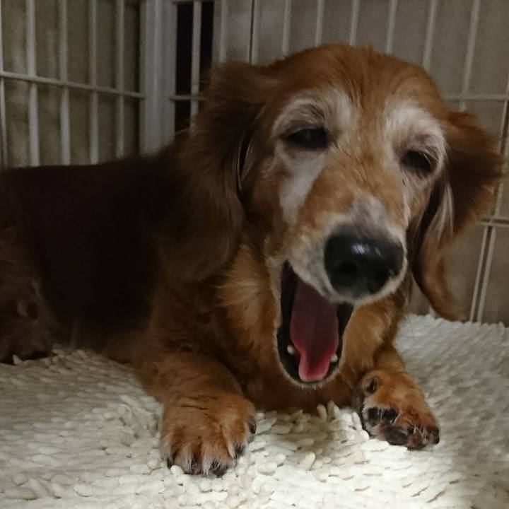 8c486445 eadf 4f41 8b47 75ca7c434c20