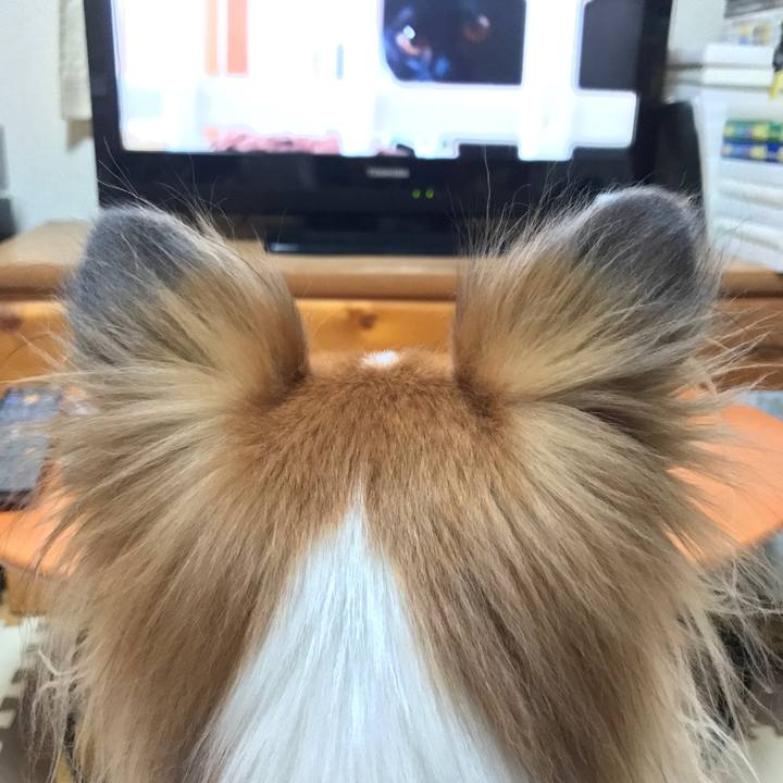 8c48a098 53df 48f4 9e82 7e89a663ca1b