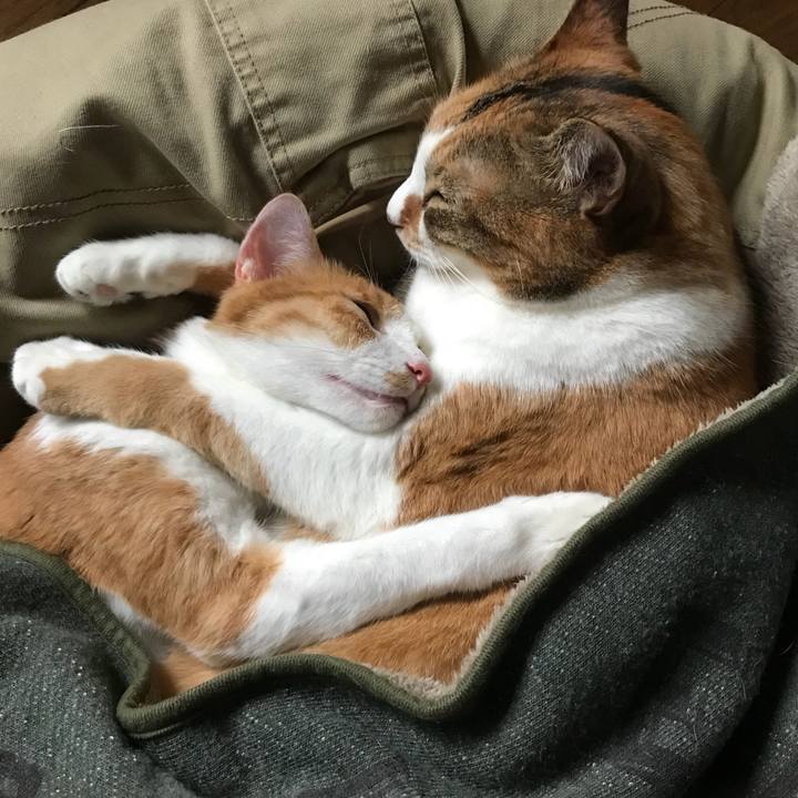 8c48ce6c fdc0 4fa6 b004 76e79af951dc