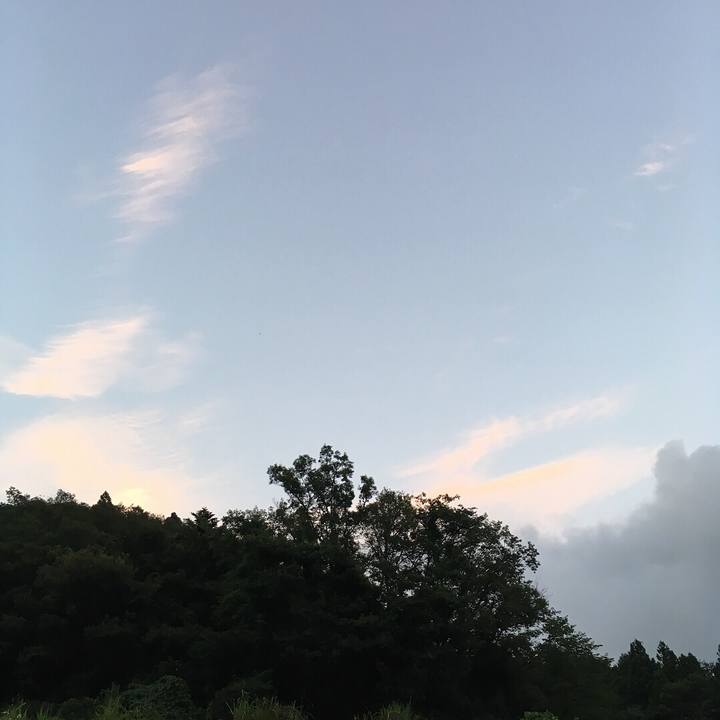 8c48ed4f 7498 434e 8e4e bfc1a006e758
