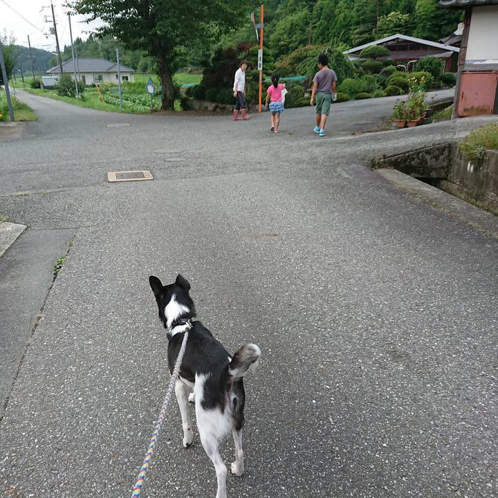 8c4981c8 8d4d 412a 8525 06378c0a42b7