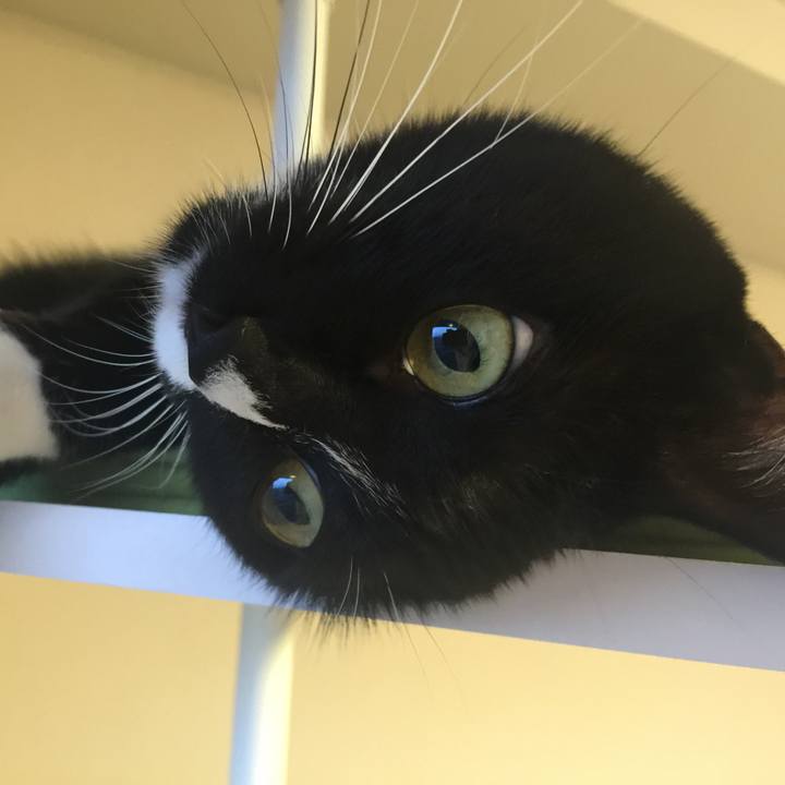 8c4a38b5 9fe6 4067 a525 8247d99b9e2a