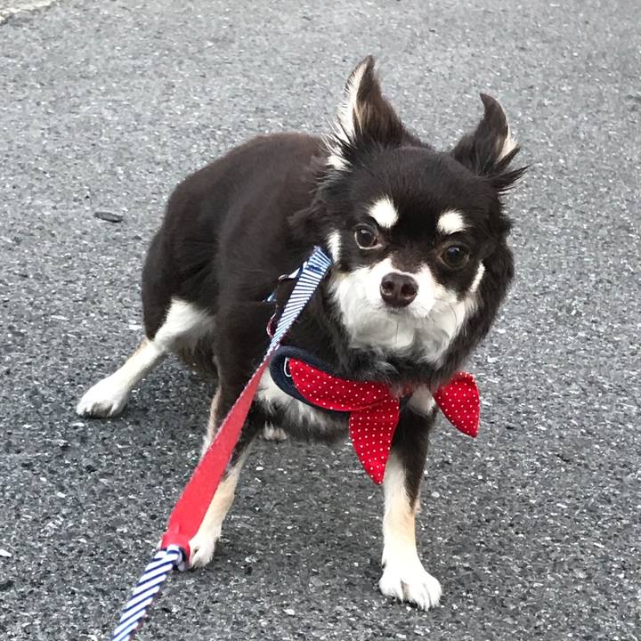 8c4a427a e5ba 4ce4 955c 566f4921dd08