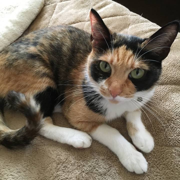 8c4a4893 97e0 4312 a65d d337a3d17947