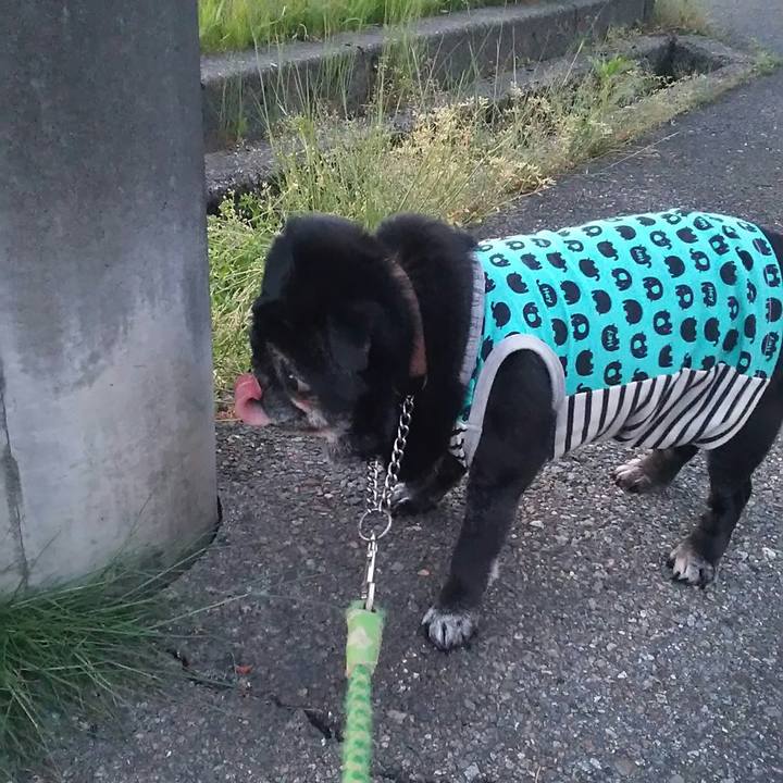 8c4a4f2f cd9b 4c5c 9926 4308bb2fdbc6