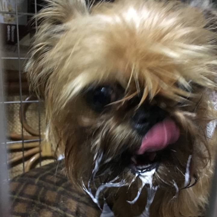 8c4a926a ad1e 4bc4 b9dd d33f86b86088