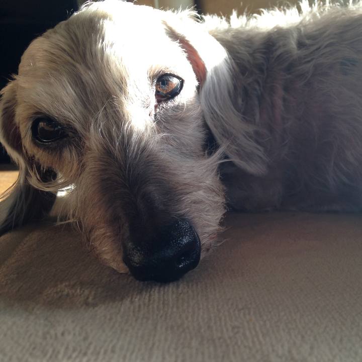 8c4aa7a4 d499 4eec ac2a 13c3246fed3a