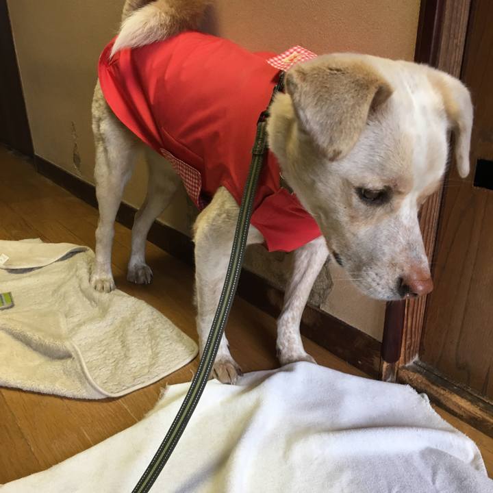 8c4b9dbb 7717 412c 8355 bfaca170269c