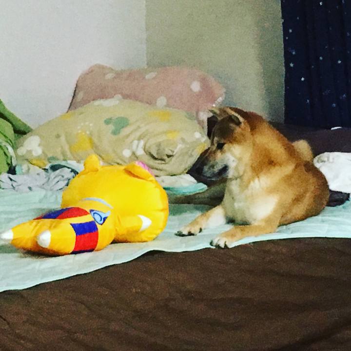 8c4be387 038f 4c86 82a6 16fdc41e3557