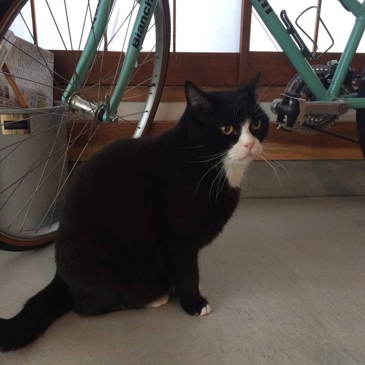 8c4c3e12 8585 4bab 92bd 7951004e9df4