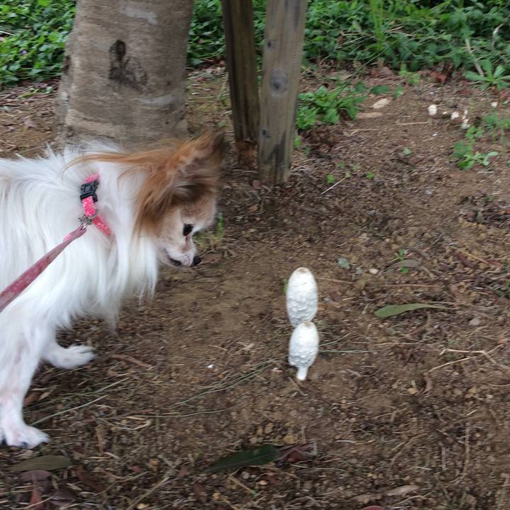 8c4cd16c 251d 4df3 8bc7 e01ce154acc5