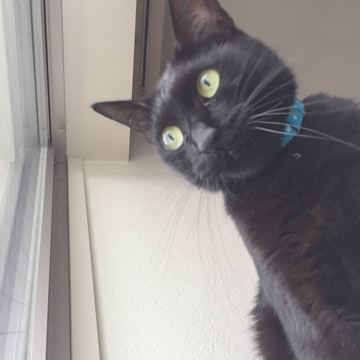 8c4d80d6 4200 41fc 92d7 a38f3c613b20