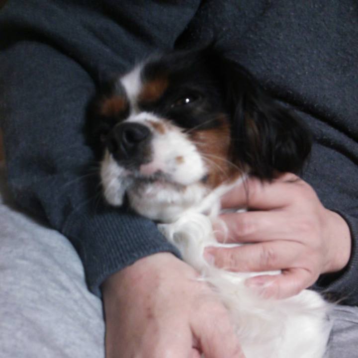 8c4dbe20 2133 4928 bcbd 6d010dc1ea03