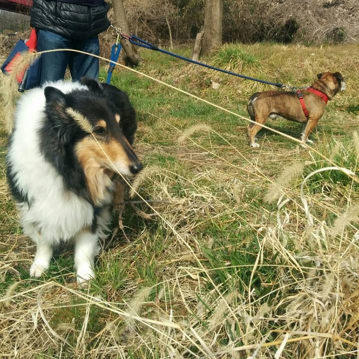 8c4ece2d c3a3 4f3c a058 5c49d16f9219