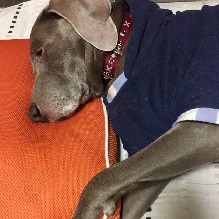 8c4f06c5 bf7e 4391 a00d e35d4c4b643d