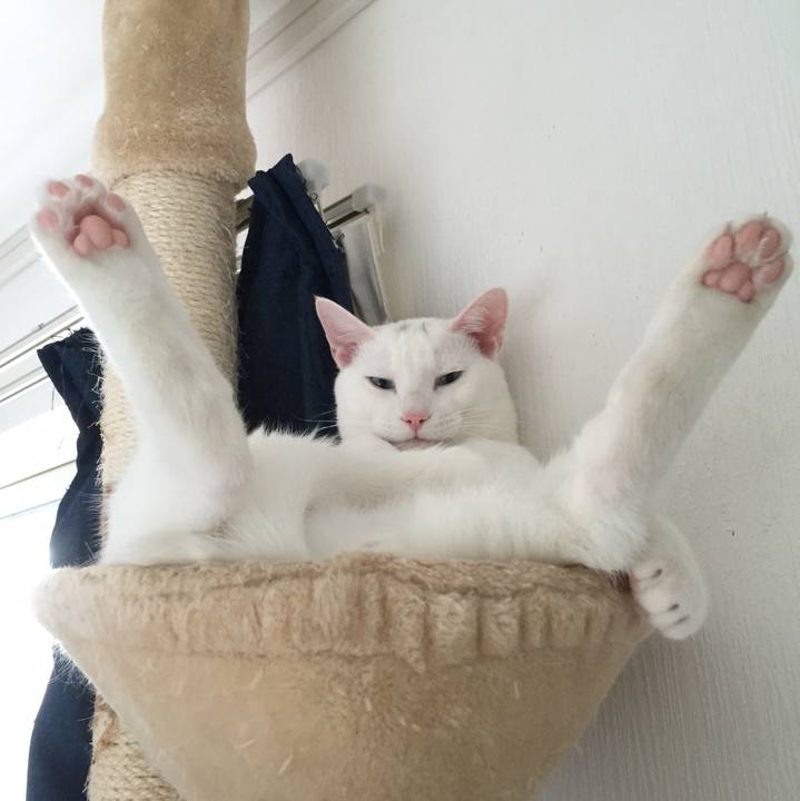 8c502605 1cad 4070 bebc d28798432159