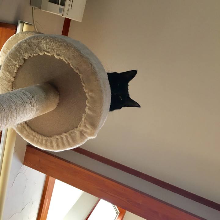 8c50877e cb8a 474f 8544 daccf6e5a24e