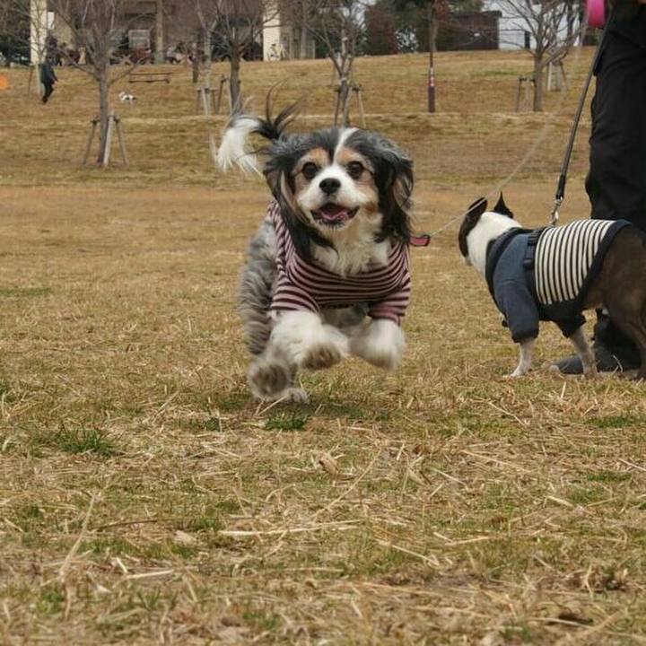 8c50c2e0 22f9 4aa3 b241 e54dac828ed4