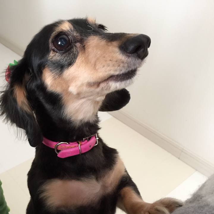 8c514581 e950 43ca b99d b7f944fc28b1